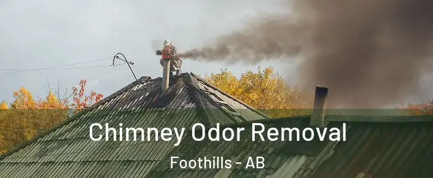  Chimney Odor Removal Foothills - AB
