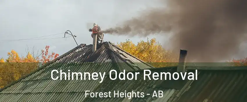  Chimney Odor Removal Forest Heights - AB
