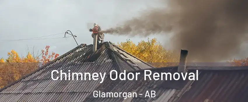  Chimney Odor Removal Glamorgan - AB