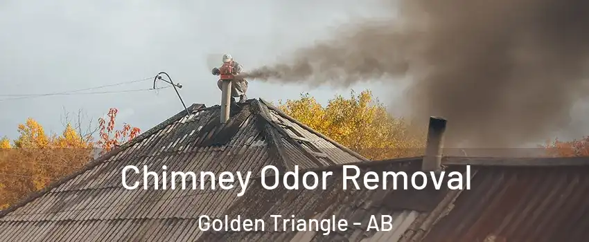 Chimney Odor Removal Golden Triangle - AB