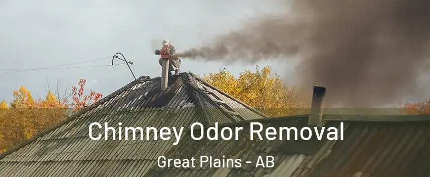  Chimney Odor Removal Great Plains - AB