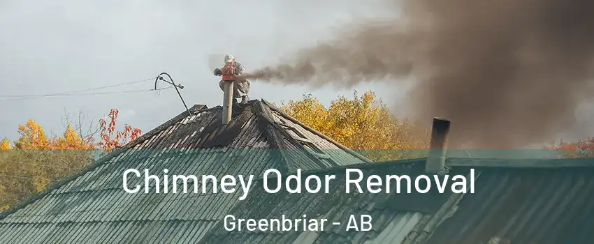  Chimney Odor Removal Greenbriar - AB