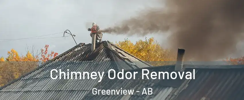  Chimney Odor Removal Greenview - AB