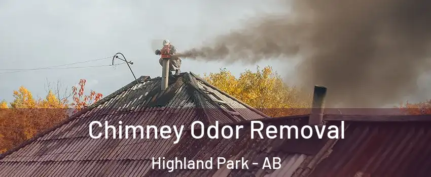  Chimney Odor Removal Highland Park - AB