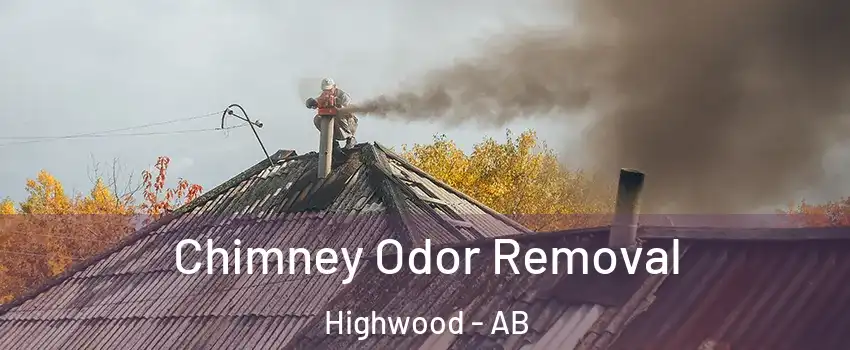  Chimney Odor Removal Highwood - AB
