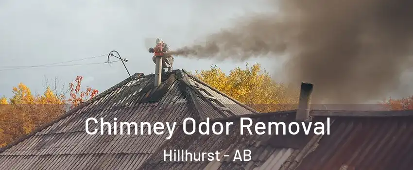  Chimney Odor Removal Hillhurst - AB