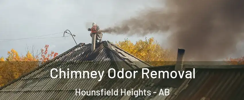  Chimney Odor Removal Hounsfield Heights - AB