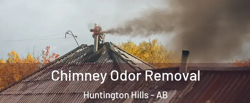  Chimney Odor Removal Huntington Hills - AB