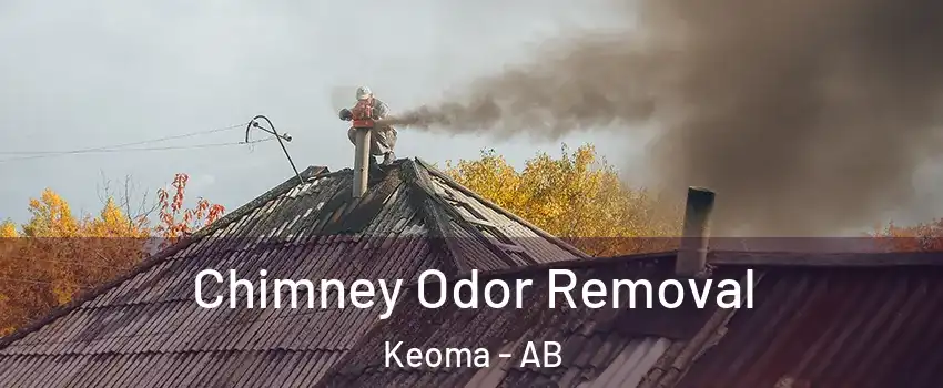  Chimney Odor Removal Keoma - AB