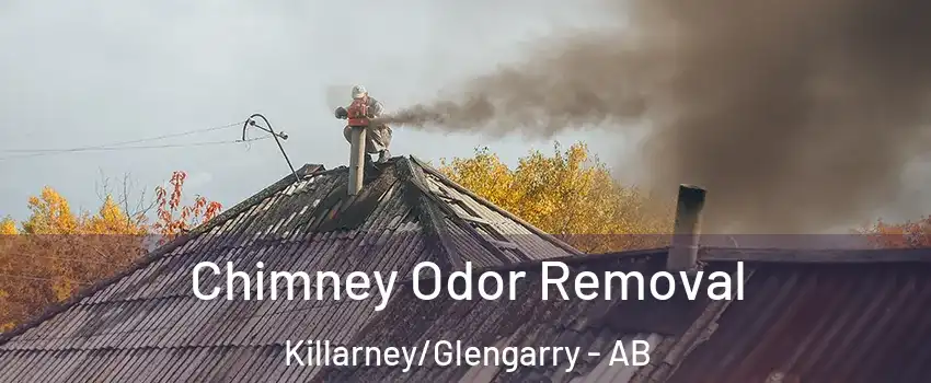  Chimney Odor Removal Killarney/Glengarry - AB