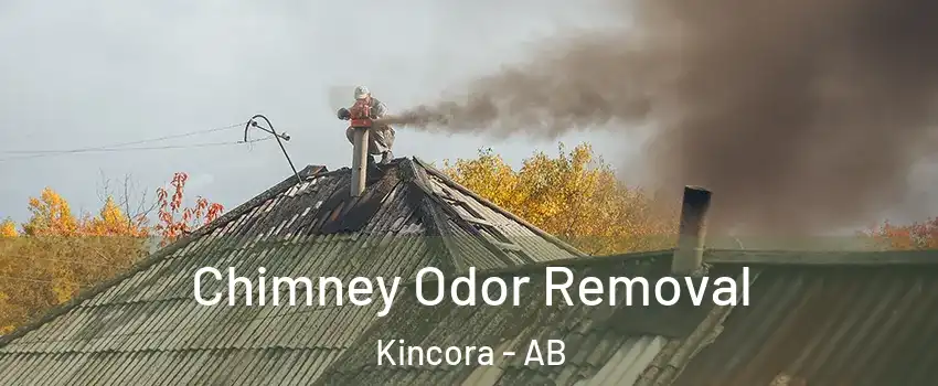  Chimney Odor Removal Kincora - AB