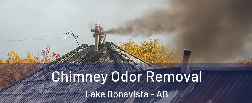  Chimney Odor Removal Lake Bonavista - AB