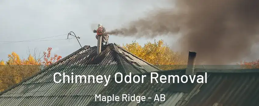  Chimney Odor Removal Maple Ridge - AB