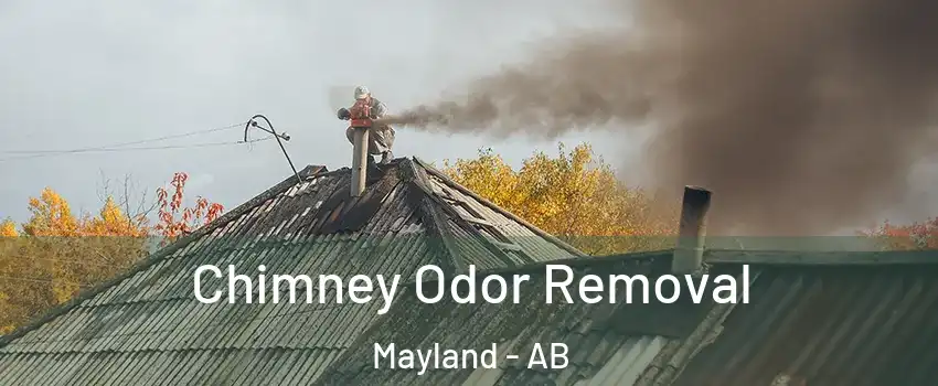  Chimney Odor Removal Mayland - AB