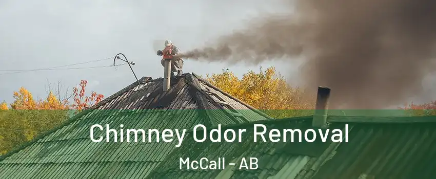  Chimney Odor Removal McCall - AB