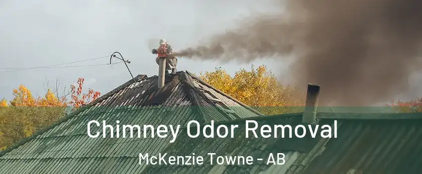  Chimney Odor Removal McKenzie Towne - AB