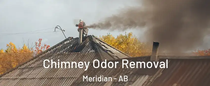 Chimney Odor Removal Meridian - AB