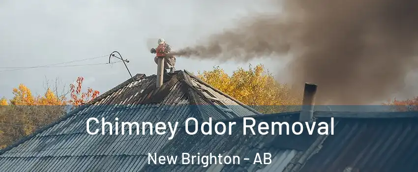  Chimney Odor Removal New Brighton - AB