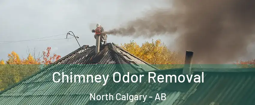  Chimney Odor Removal North Calgary - AB