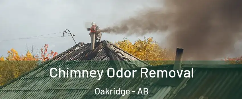  Chimney Odor Removal Oakridge - AB