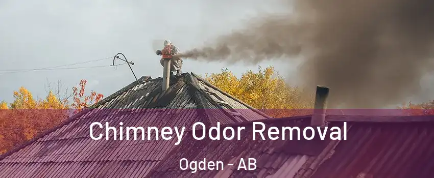  Chimney Odor Removal Ogden - AB
