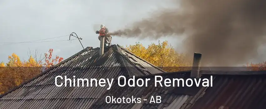  Chimney Odor Removal Okotoks - AB
