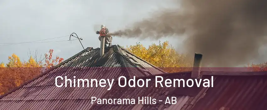  Chimney Odor Removal Panorama Hills - AB