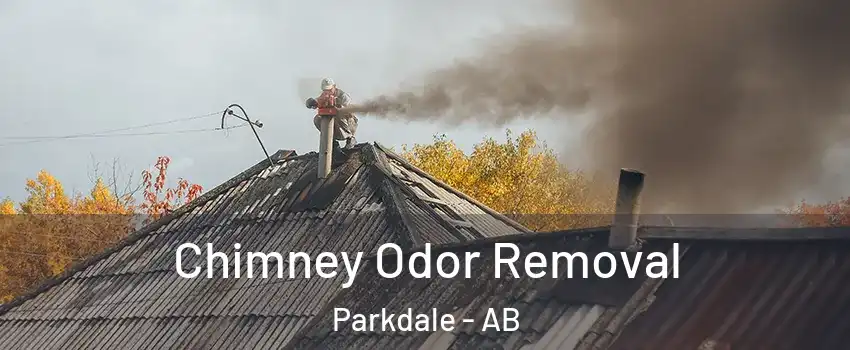  Chimney Odor Removal Parkdale - AB