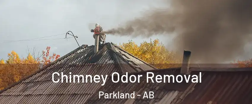  Chimney Odor Removal Parkland - AB