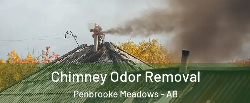  Chimney Odor Removal Penbrooke Meadows - AB