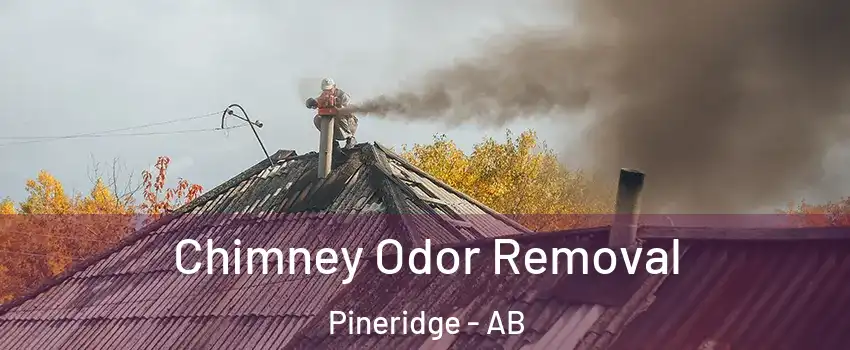  Chimney Odor Removal Pineridge - AB
