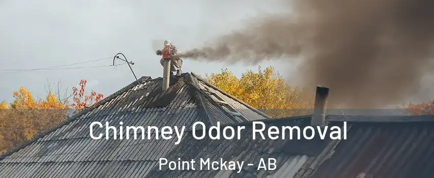  Chimney Odor Removal Point Mckay - AB