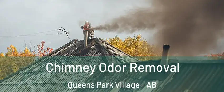  Chimney Odor Removal Queens Park Village - AB