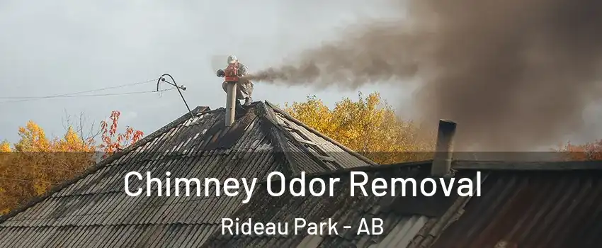  Chimney Odor Removal Rideau Park - AB