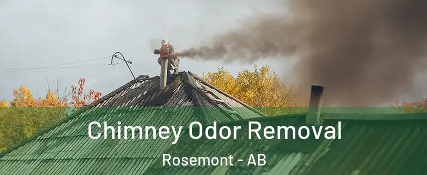  Chimney Odor Removal Rosemont - AB