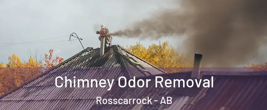  Chimney Odor Removal Rosscarrock - AB