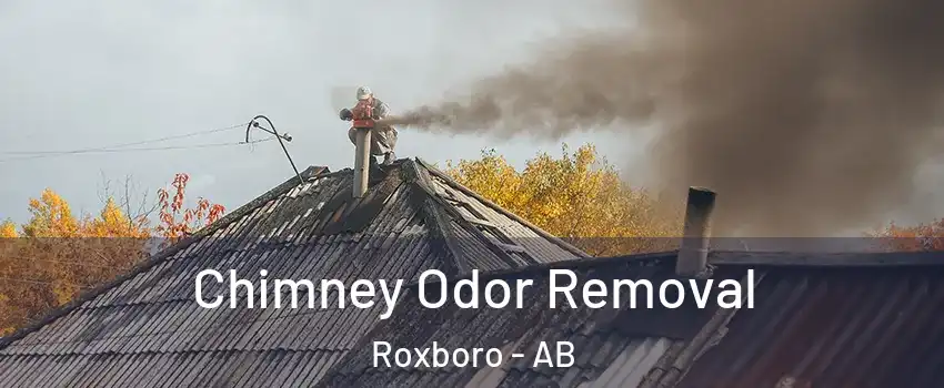  Chimney Odor Removal Roxboro - AB