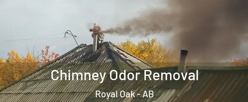  Chimney Odor Removal Royal Oak - AB