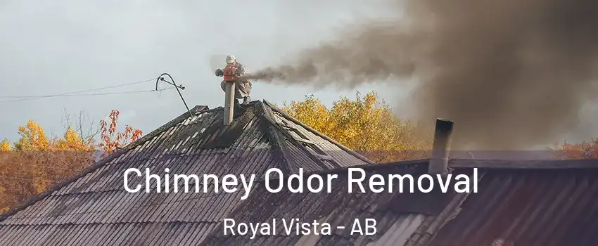  Chimney Odor Removal Royal Vista - AB