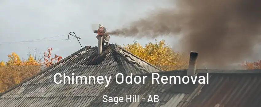  Chimney Odor Removal Sage Hill - AB