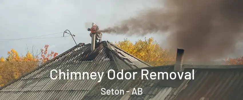  Chimney Odor Removal Seton - AB