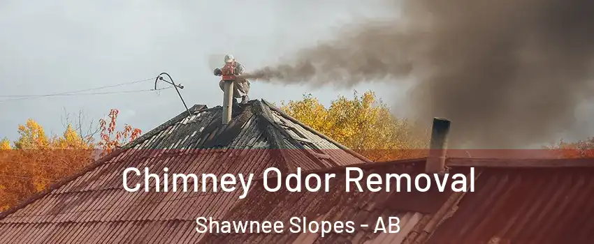  Chimney Odor Removal Shawnee Slopes - AB
