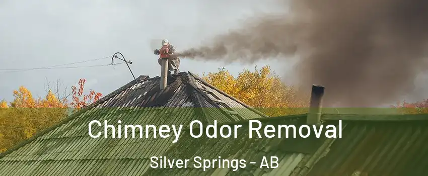  Chimney Odor Removal Silver Springs - AB
