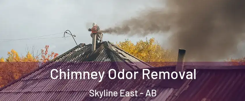  Chimney Odor Removal Skyline East - AB