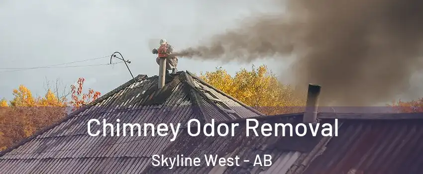  Chimney Odor Removal Skyline West - AB
