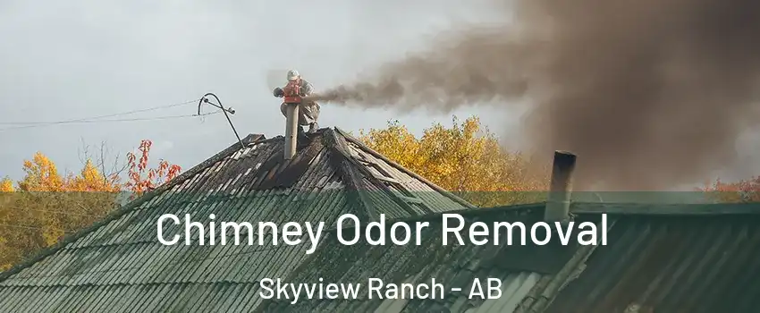  Chimney Odor Removal Skyview Ranch - AB