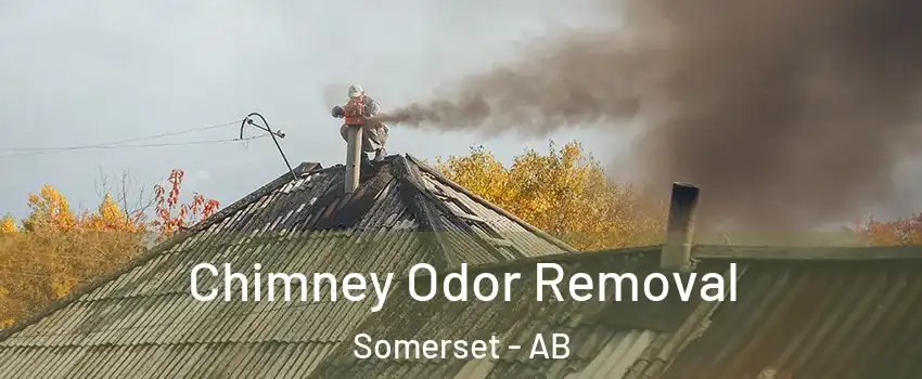  Chimney Odor Removal Somerset - AB