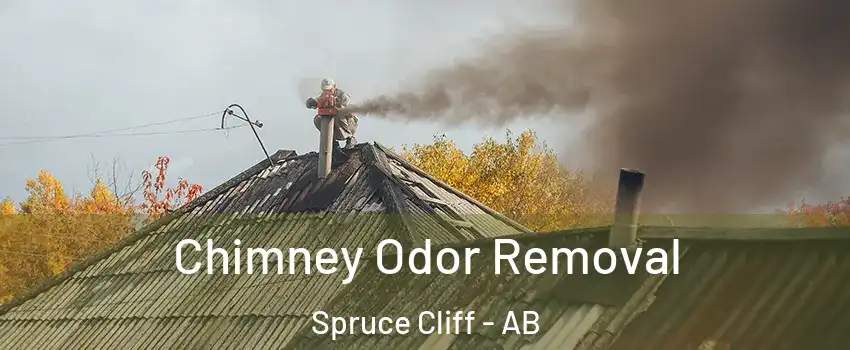  Chimney Odor Removal Spruce Cliff - AB