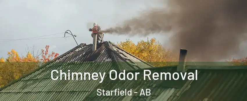  Chimney Odor Removal Starfield - AB