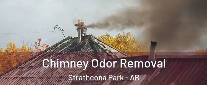  Chimney Odor Removal Strathcona Park - AB